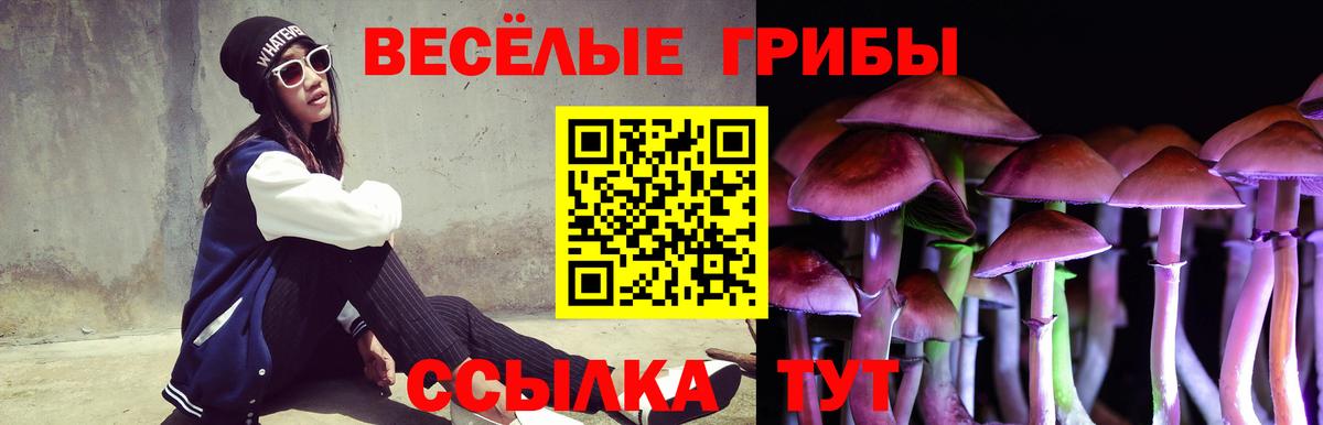 Галлюциногенные грибы мицелий Еманжелинск